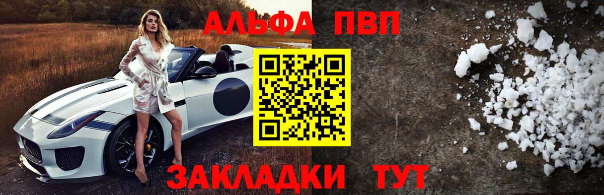 Альфа ПВП СК КРИС Элиста