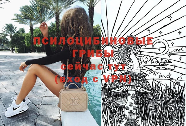 метадон Михайлов