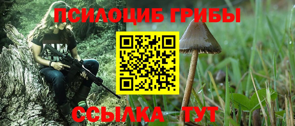 Галлюциногенные грибы MAGIC MUSHROOMS Элиста