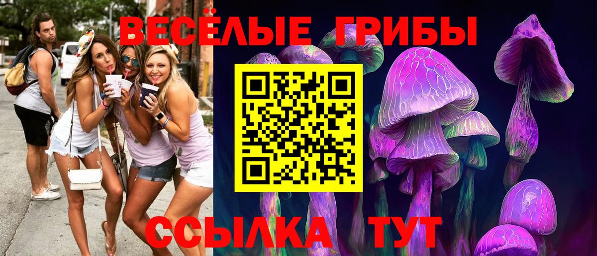 Элиста  Галлюциногенные грибы MAGIC MUSHROOMS  Вход с VPN 