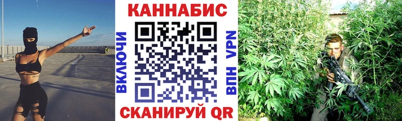 Каннабис планчик Элиста