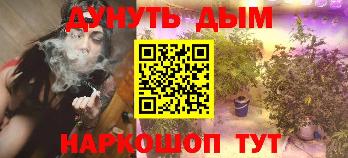 Бошки марихуана конопля  Вход с VPN  Элиста  Конопля гибрид  Каннабис AK-47 